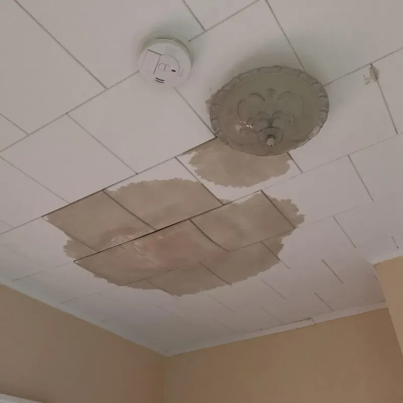 Ceiling Water Damage Repair in Bristol, PA