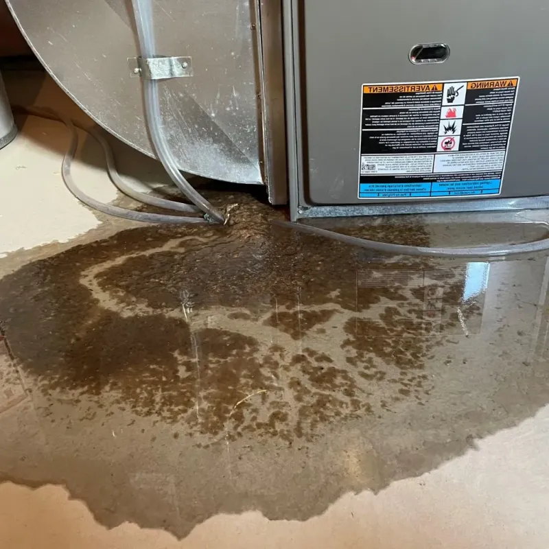 Pipe Burst and Leak Restoration in Bristol, PA