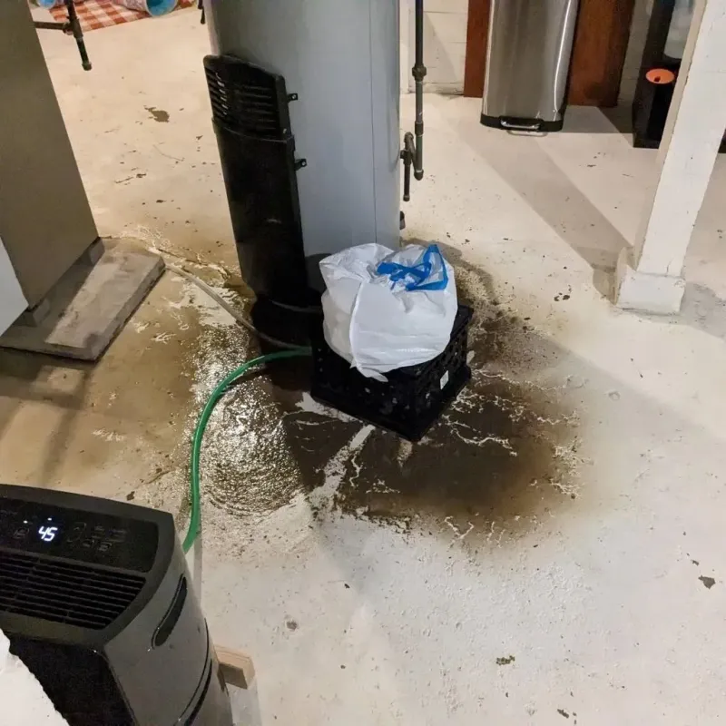 Sewage Backup Cleanup Service in Bristol, PA